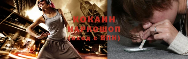 дмт Лиски