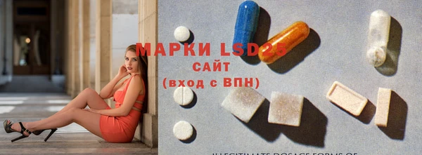 гидра Липки