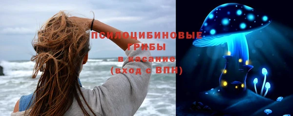 гидра Липки
