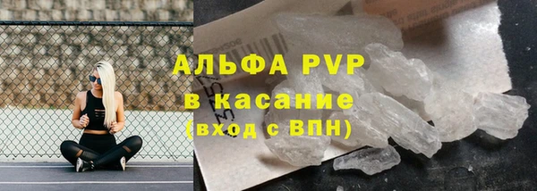 гидра Липки