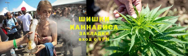дмт Лиски