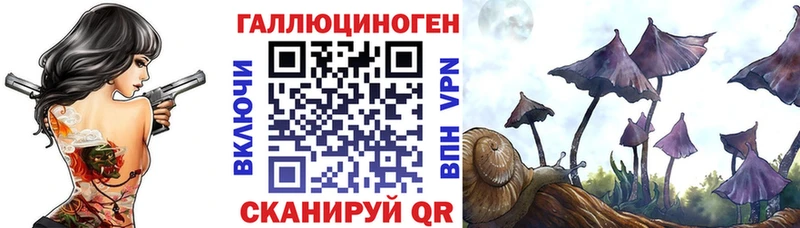 Купить  Семилуки  Галлюциногенные грибы MAGIC MUSHROOMS 
